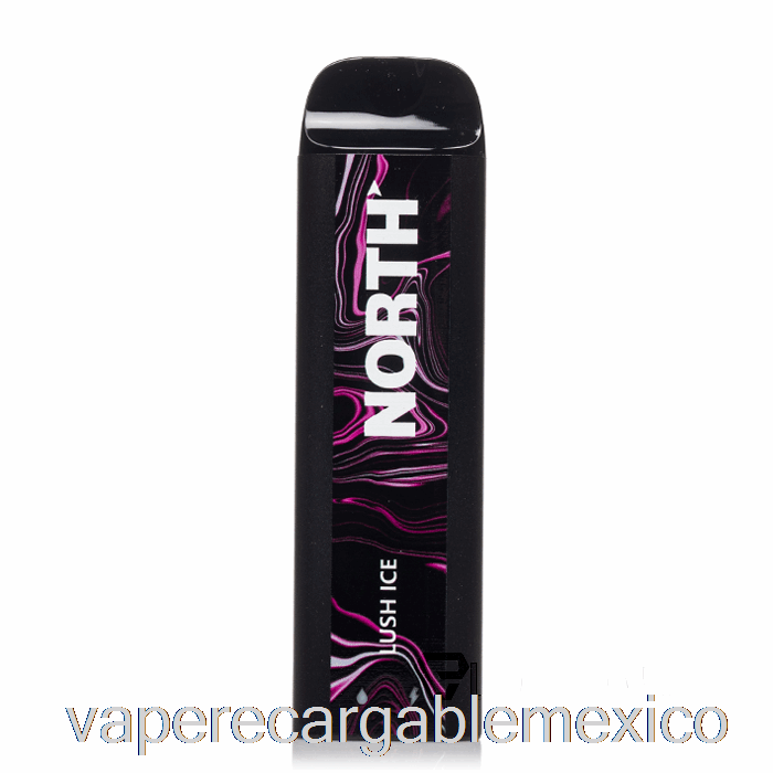 Vape Recargable North 5000 Desechable Exuberante Hielo